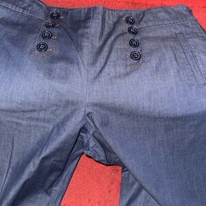 Ann Taylor Navy Signature Trousers